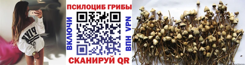 ссылка на мегу ССЫЛКА  Старый Оскол  Галлюциногенные грибы Cubensis  закладка 